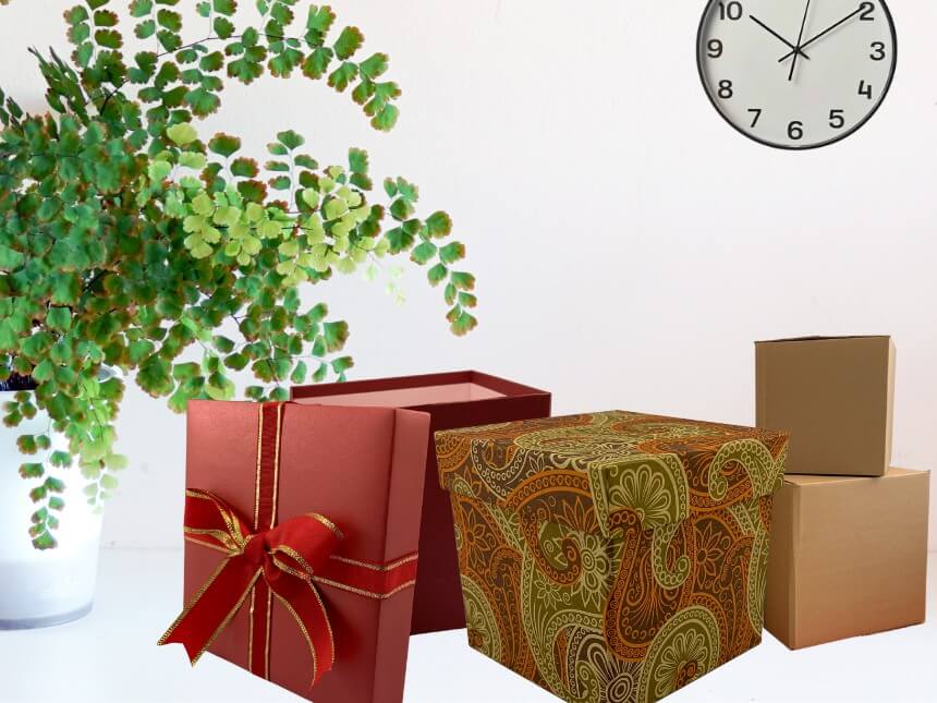 Gift Boxes