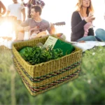 Eucalyptus Rain Eco Wellness Gift Basket - Image 5