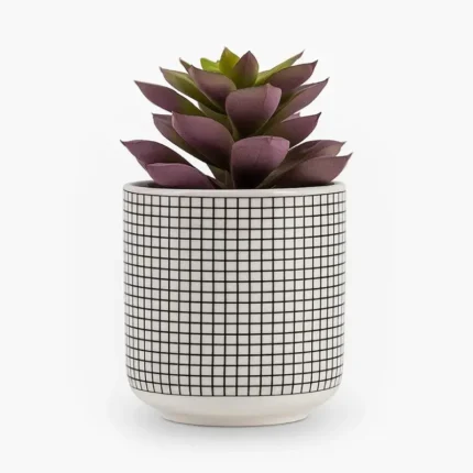Artificial Succulent Lotus Plant / Faux Lotus Plant