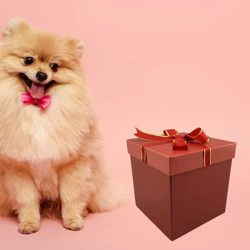 Gift Boxes