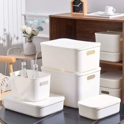 Plastic Storage Box With Lid